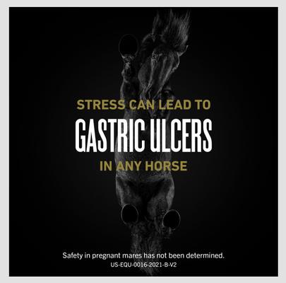 Show full view: Ulcergard Omeprazole Paste Horse Treatment, 1 syringe, .22-oz syringe slide 2 of 8