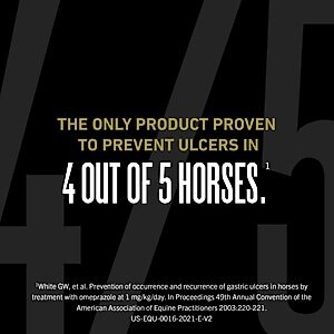 Ulcergard Omeprazole Paste Horse Treatment, 1 syringe, .22-oz syringe