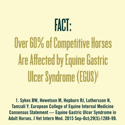 Show full view: Ulcergard Omeprazole Paste Horse Treatment, .22-oz syringe, 10 count slide 4 of 9