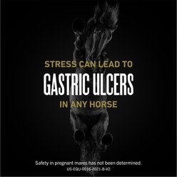 Ulcergard Omeprazole Paste Horse Treatment, 40 count slide 2 of 7