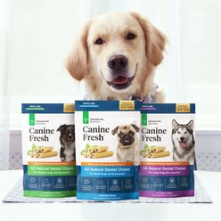 Ultimate Pet Nutrition Canine Fresh All-Natural Grain-Free Pork Adult Dental Dog Chews, Medium, 15 count slide 2 of 5