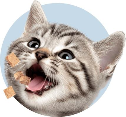 Show full view: Ultimate Pet Nutrition Nutra Bites Chicken Liver Freeze-Dried Cat Treats, 2.5-oz bag slide 7 of 7