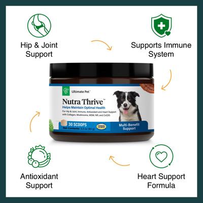 Show full view: Ultimate Pet Nutrition Nutra Thrive Multivitamin 40-in-1 Powder Supplement for Dogs, 4.02-oz jar slide 5 of 6