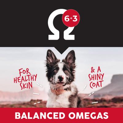 Show full view: Ultimates Adult Chicken Meal & Rice Flavored Dry Dog Food, 40-lb bag slide 6 of 8