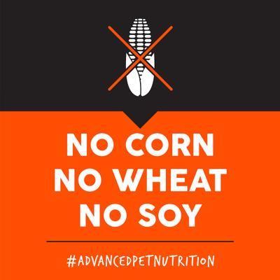 Show full view: Ultimates Adult Large Breed Chicken Meal & Rice Flavored Dry Dog Food, 28-lb bag slide 6 of 9