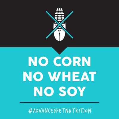 Show full view: Ultimates Bayside Select Fish & Potato Grain-Free Dry Dog Food, 28-lb bag slide 6 of 9