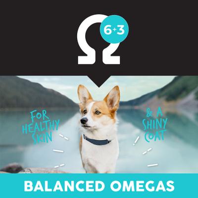 Show full view: Ultimates Bayside Select Fish & Potato Grain-Free Dry Dog Food, 28-lb bag slide 7 of 9