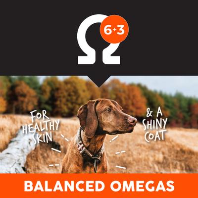 Show full view: Ultimates Chicken Meal & Brown Rice Large Breed Adult Dry Dog Food, 56-lb bundle slide 7 of 9