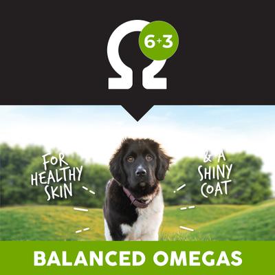 Show full view: Ultimates Chicken Meal & Brown Rice Large Breed Puppy Dry Dog Food, 28-lb bag slide 7 of 9