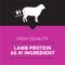 Show in main carousel: Ultimates Lamb Meal & Brown Rice Dry Dog Food, 28-lb bag slide 4 of 9