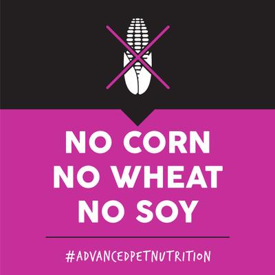 Show full view: Ultimates Lamb Meal & Brown Rice Dry Dog Food, 28-lb bag slide 6 of 9