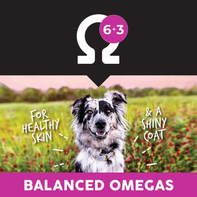 Show full view: Ultimates Lamb Meal & Brown Rice Dry Dog Food, 28-lb bag slide 7 of 9