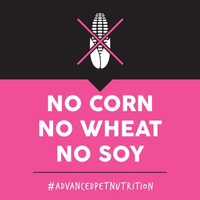 Show full view: Ultimates Meadow Prime Grain-Free Lamb & Potato Dry Dog Food, 28-lb bag slide 6 of 9