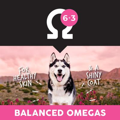 Show full view: Ultimates Meadow Prime Grain-Free Lamb & Potato Dry Dog Food, 28-lb bag slide 7 of 9