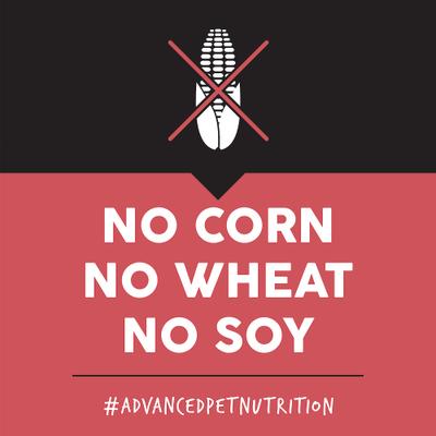 Show full view: Ultimates Overland Grain-Free Red Beef & Potato Dry Dog Food, 28-lb bag slide 6 of 9