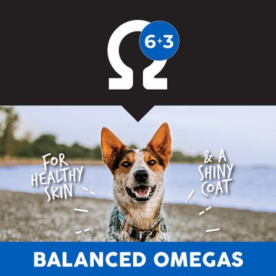 Show full view: Ultimates Whitefish Meal & Rice Dry Dog Food, 28-lb bag slide 7 of 9