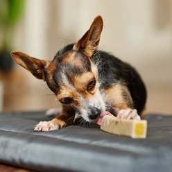 Ultra Chewy Double Treat Bone Bacon & Cheese Flavor Dog Treats, 8 count slide 2 of 5