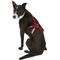 Show in main carousel: Ultra Paws One Adjustable Pulling Dog Harness, Small slide 4 of 8