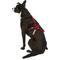 Show in main carousel: Ultra Paws One Adjustable Pulling Dog Harness, Small slide 5 of 8