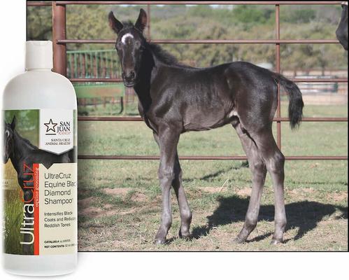 Show full view: UltraCruz Black Diamond Horse Shampoo, 32-fl oz bottle slide 4 of 4