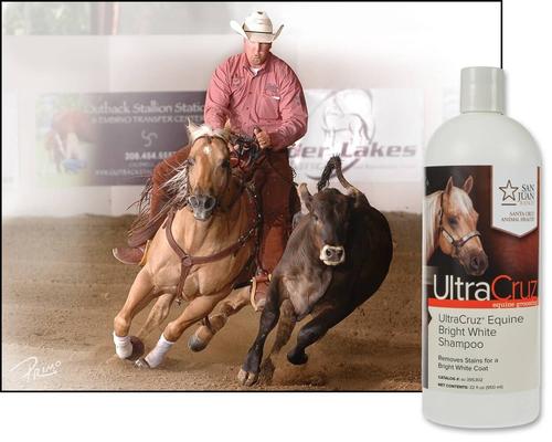 Show full view: UltraCruz Bright White Horse Shampoo, 32-fl oz bottle slide 2 of 5