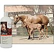 Show in main carousel: UltraCruz Bright White Horse Shampoo, 32-fl oz bottle slide 4 of 5