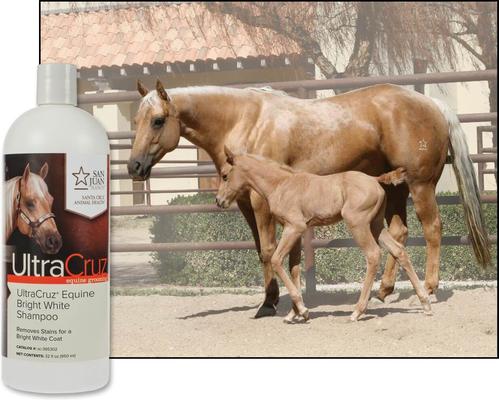 Show full view: UltraCruz Bright White Horse Shampoo, 32-fl oz bottle slide 4 of 5