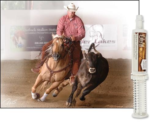 Show full view: UltraCruz Calming Paste Horse Supplement, 60-mL syringe, 6 count slide 3 of 5