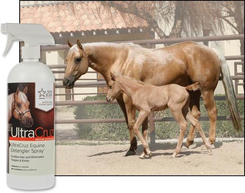 Show full view: UltraCruz Detangler Horse Spray, 32-fl oz bottle slide 3 of 4