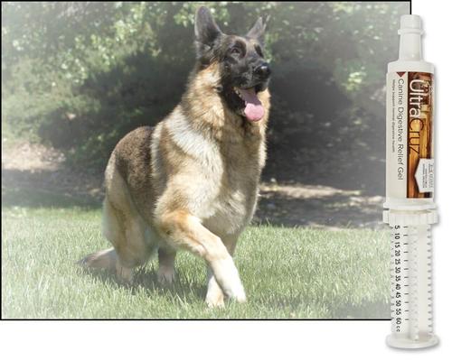 Show full view: UltraCruz Digestion Relief Gel, 60-cc Syringe slide 3 of 6