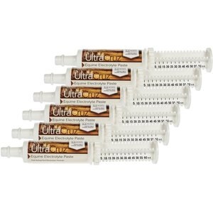 UltraCruz Electrolyte Paste Horse Supplement, 60-mL, 6 count