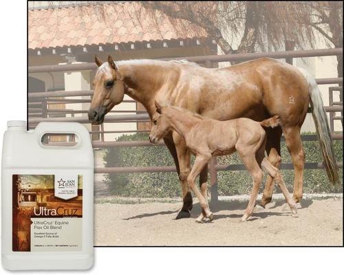 Show full view: UltraCruz Flax Oil Blend Skin, Coat & Hoof Care Liquid Horse Supplement, 1-gal, 4 count slide 3 of 5