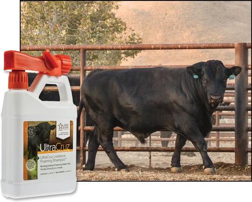 Show full view: UltraCruz Foaming Livestock Shampoo, 32-fl oz bottle slide 3 of 4