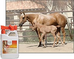 UltraCruz Liniment Horse Wash Spray, 32-fl oz bottle slide 2 of 4