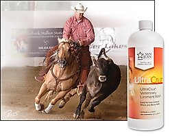UltraCruz Liniment Refill Horse Wash, 32-fl oz bottle slide 2 of 4