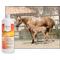 Show in main carousel: UltraCruz Liniment Refill Horse Wash, 32-fl oz bottle slide 4 of 4