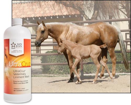 Show full view: UltraCruz Liniment Refill Horse Wash, 32-fl oz bottle slide 4 of 4