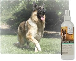 UltraCruz Natural Dog Flea & Tick Spray, 16-fl oz bottle slide 2 of 4