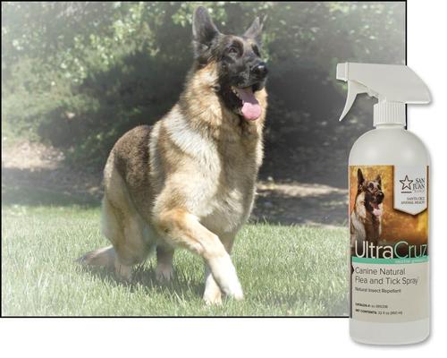 Show full view: UltraCruz Natural Dog Flea & Tick Spray, 32-fl oz bottle slide 3 of 5