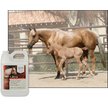 Show in main carousel: UltraCruz Natural Horse Fly & Tick Spray, 1-gal bottle slide 4 of 5