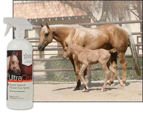 Show full view: UltraCruz Natural Horse Fly & Tick Spray, 32-fl oz bottle slide 3 of 5