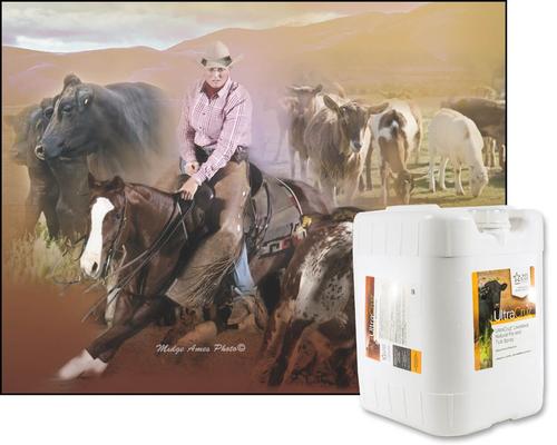 Show full view: UltraCruz Natural Livestock Fly & Tick Spray, 5-gal bottle slide 4 of 4