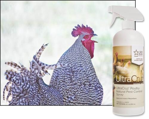 Show full view: UltraCruz Natural Pest Control Poultry Spray, 32-fl oz bottle slide 2 of 5