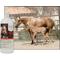 Show in main carousel: UltraCruz Oatmeal Horse Shampoo, 32-fl oz bottle slide 4 of 4
