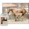 Show in main carousel: UltraCruz Potency Liquid Horse Supplement, 1-gal bottle slide 3 of 4