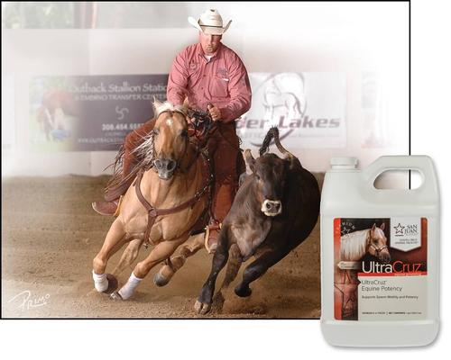 Show full view: UltraCruz Potency Liquid Horse Supplement, 1-gal bottle slide 4 of 4