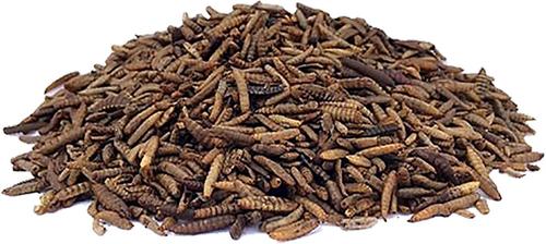 Show full view: UltraCruz Poultry Grubs Farm Animal Treat, 1-lb bag slide 3 of 4