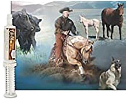 Show full view: UltraCruz Probiotic Livestock Supplement, 60-cc syringe slide 4 of 5