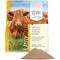 Show in main carousel: UltraCruz Probiotic Powder Livestock Supplement, 5-lb bag slide 2 of 4