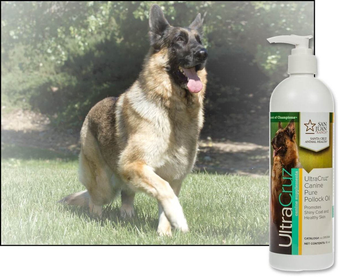 UltraCruz Pure Pollock Oil Dog Supplement